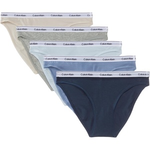 Calvin Klein womens Modern Logo Bikini 5-pack(Grey Morn/Grey Heather/Plein Air/Troposphere/Ink)