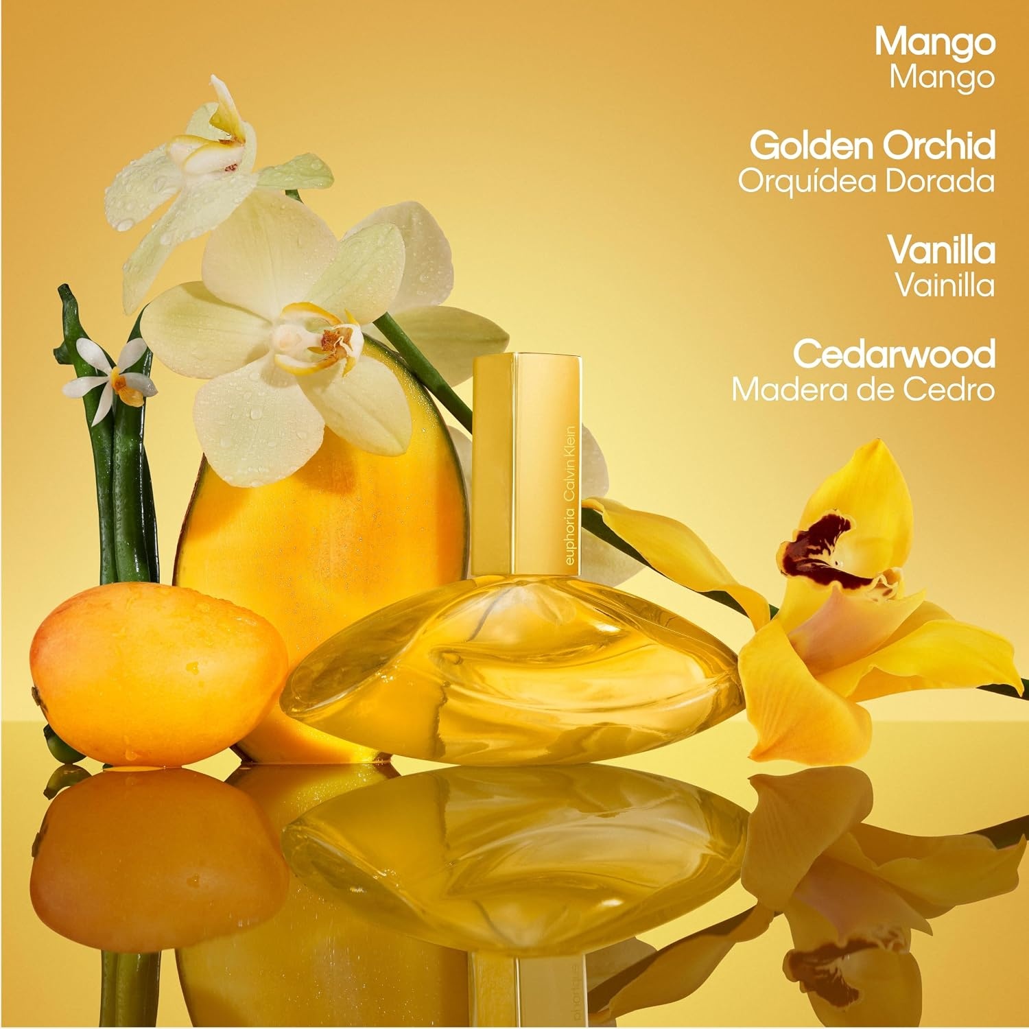 image:imageCalvin Klein Euphoria Solar Elixir Parfum Intense worn by Rosalia Ambery Perfume for Women With Mango Golden Orchid Vanilla amp Cedarwood LongLasting Fragrance1 Fl Oz Pack of 1
