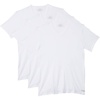 3 Classic White Vneck