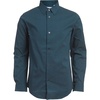 Deep Teal