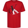Angle-blocked Racing Red
