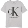 Big Logo Light Grey Heather