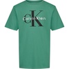 Ck Beryl Green
