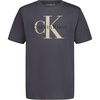 Ck Hemisphere