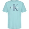 Ck Plume