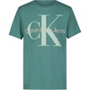 Mono Teal