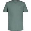 Sagebrush Green