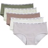 Bloom Stripe